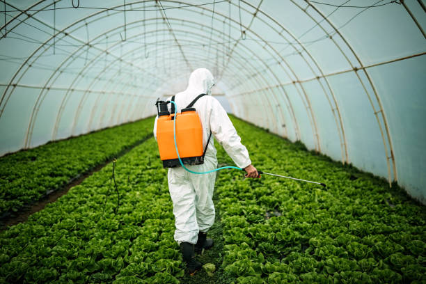 Best Pest Control for Businesses  in South Fulton, TN