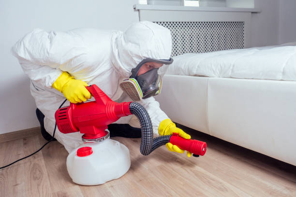 Best Flea Control Services  in South Fulton, TN