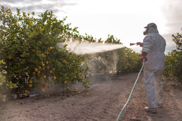 Best Wildlife Control Services  in South Fulton, TN