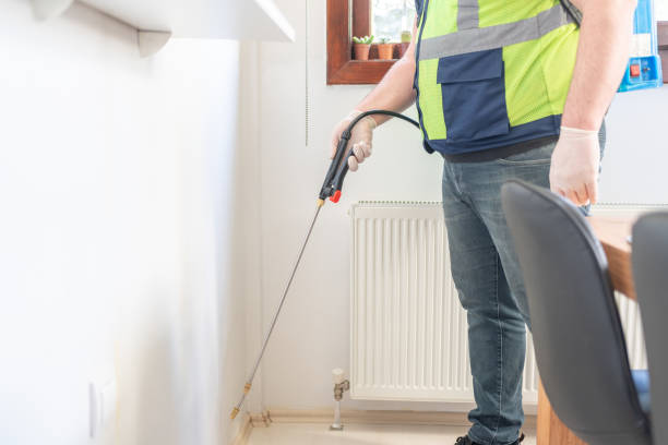 Trusted South Fulton, TN Pest Control Experts