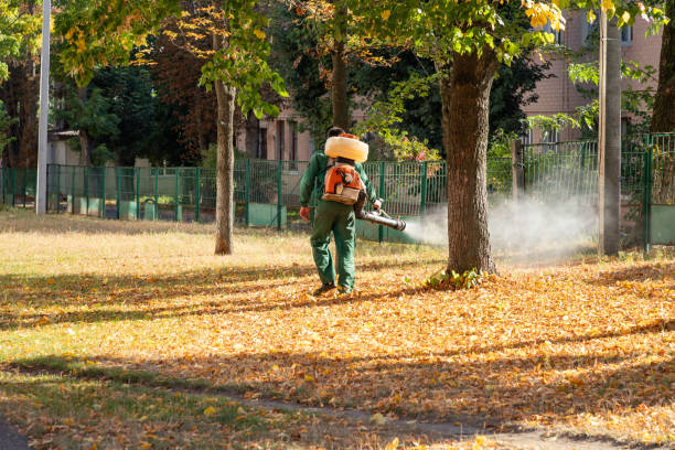Best Best Pest Control Companies  in South Fulton, TN